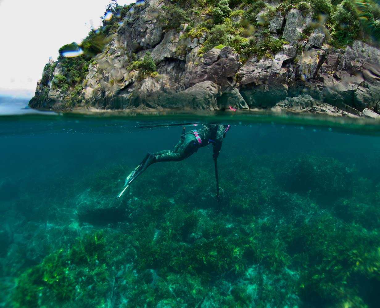 Learning to Freedive? Start Here