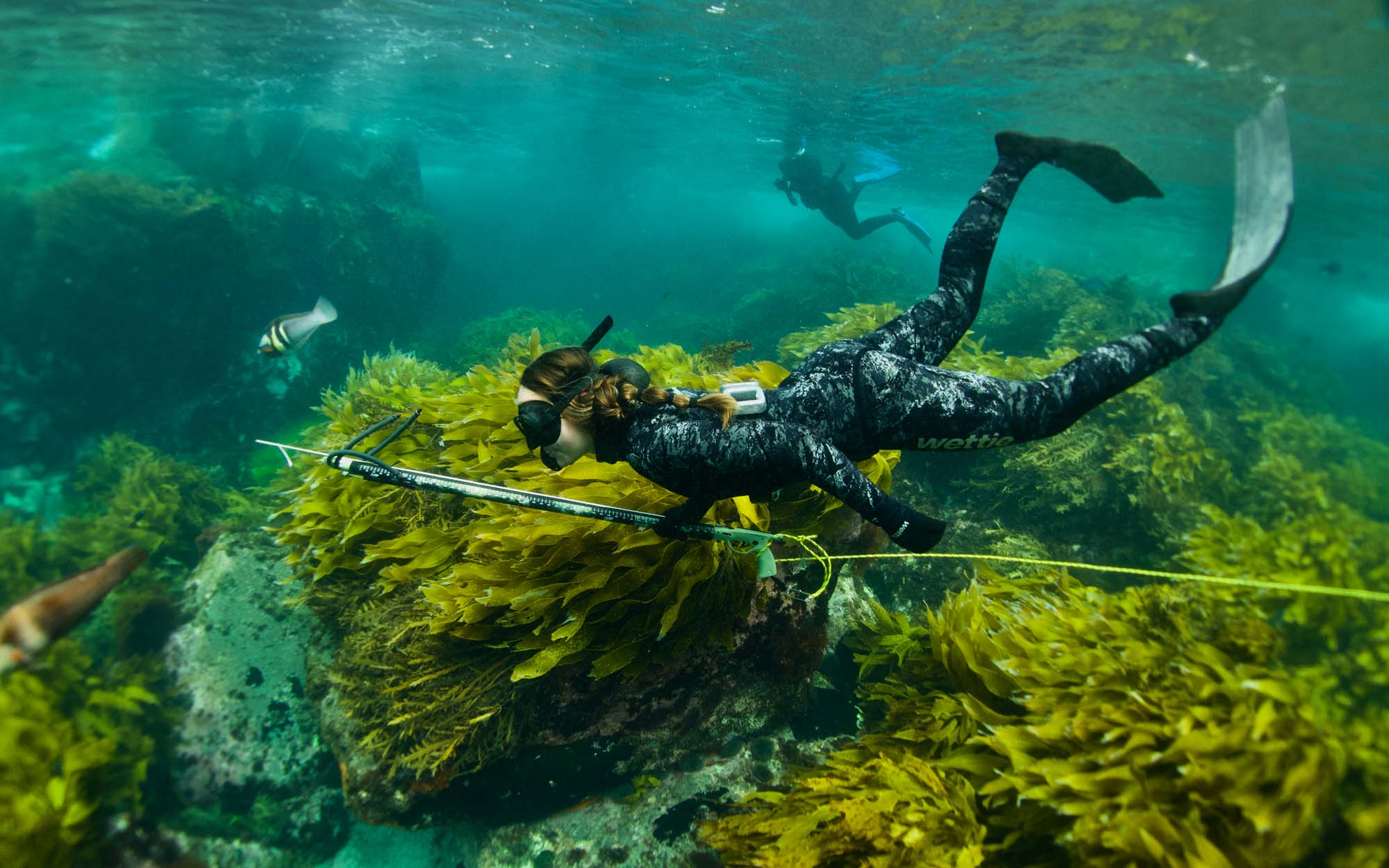 Huntress Experiences