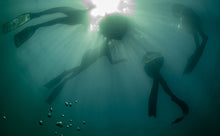 Load image into Gallery viewer, Try Freediving Experience- Beginners Pool Session!

