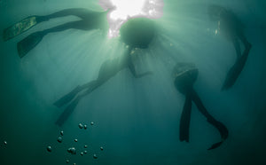 Try Freediving Experience- Beginners Pool Session!