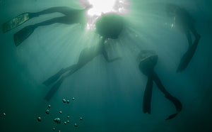 Kai Iwi Lakes Freediving Camp -2024 bookings coming soon