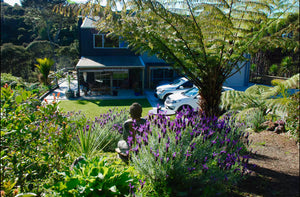 Freediving Camp November 2025 - Whitianga Edition!