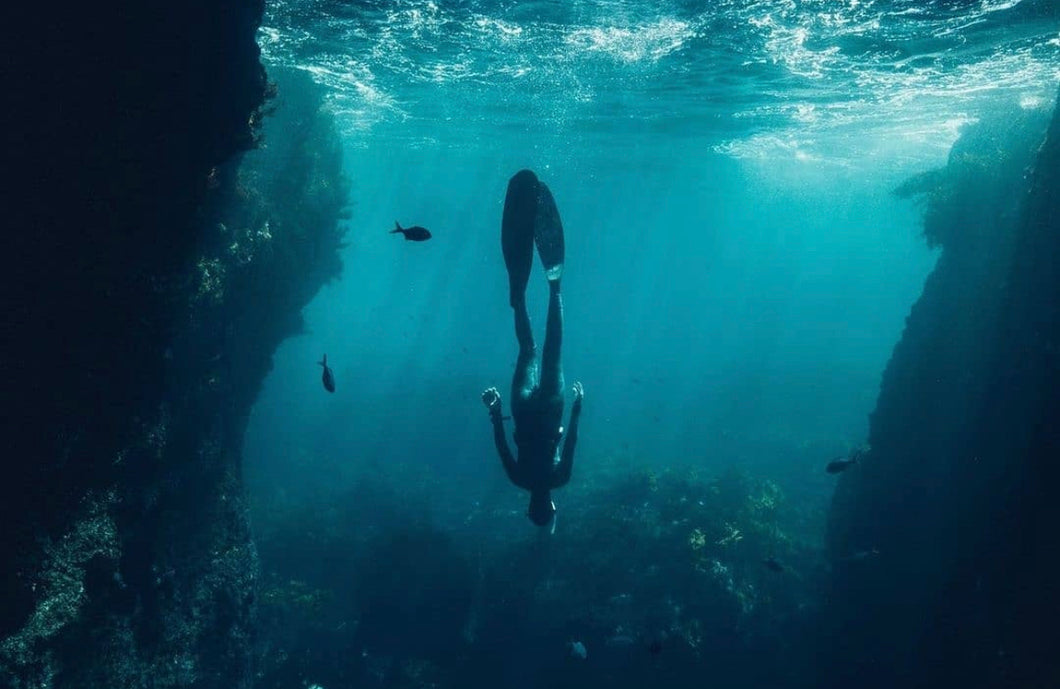 Coromandel Oceanic Adventures  COMING SOON