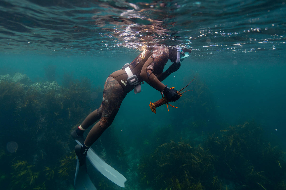 All Freediving & Spearfishing Experiences | Salt Aotearoa