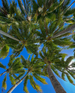 Wāhine Voyager Series - Rarotonga Experience