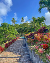 Load image into Gallery viewer, Wāhine Voyager Series - Rarotonga Experience
