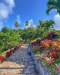 Wāhine Voyager Series - Rarotonga Experience