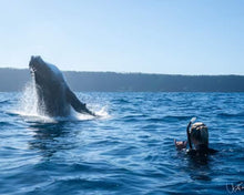 Load image into Gallery viewer, Wāhine Voyager Series - Tonga Edition 2026
