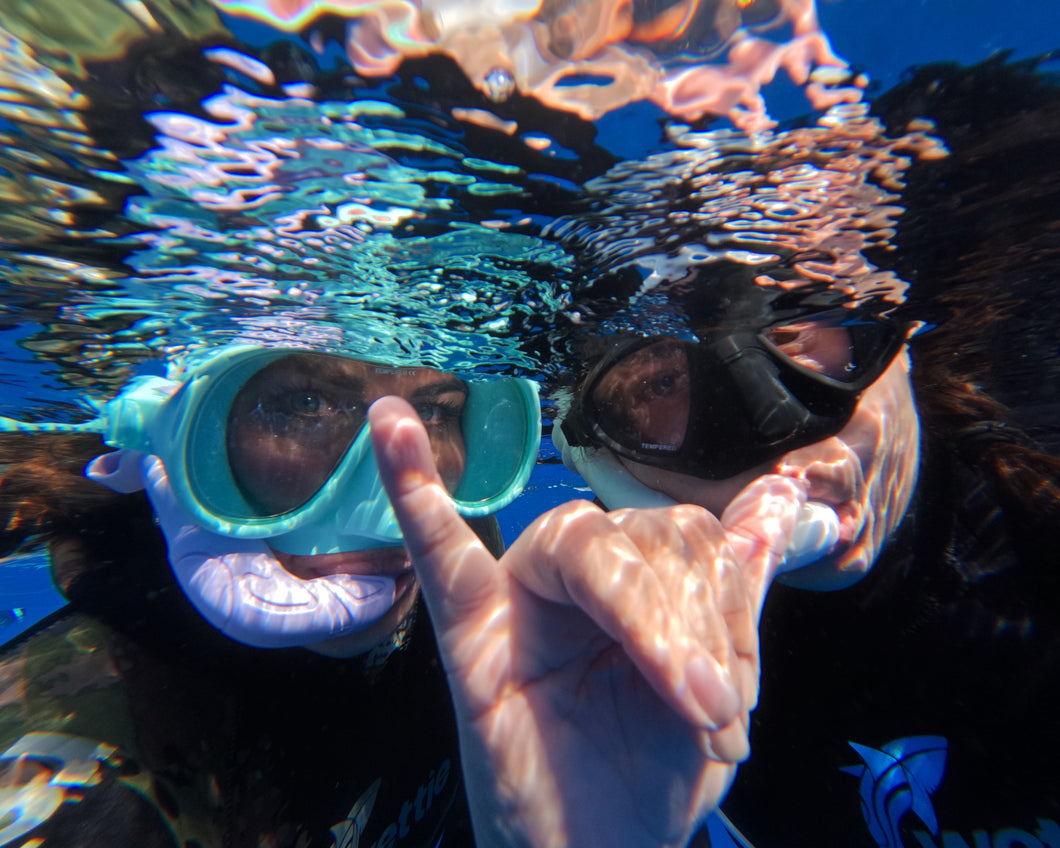 SALT SESSION - Goat Island Dive & Snorkel