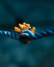 Load image into Gallery viewer, Wāhine Voyager Series - Rarotonga Experience
