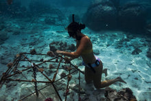 Load image into Gallery viewer, Wāhine Voyager Series - Rarotonga Experience
